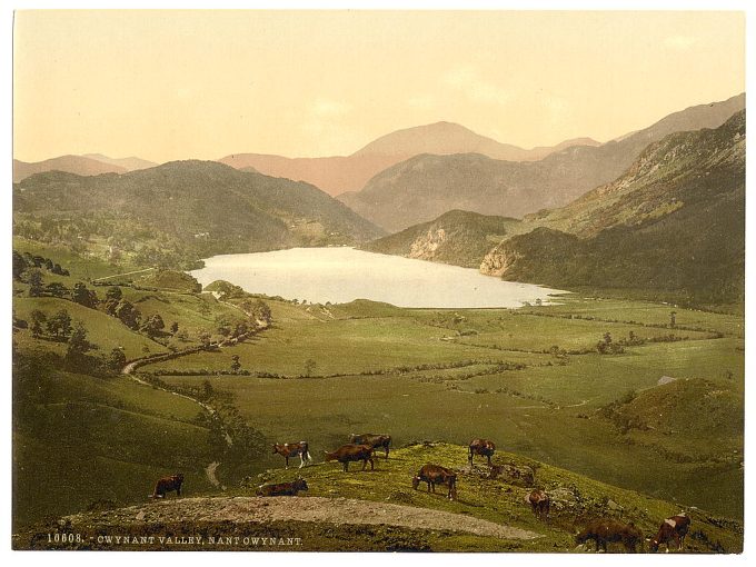 Nant Gwgant, Gwynant Valley, Wales