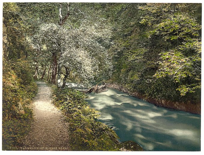 Ness Glen, Dalmellington, Scotland