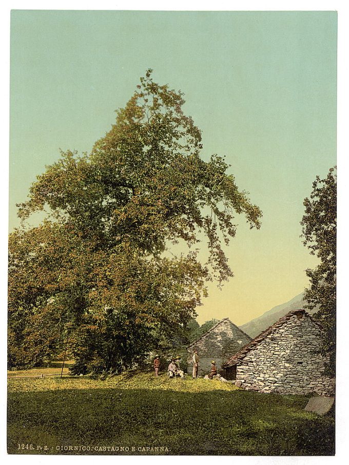 Giornico, peasant's hut, St. Gotthard Railway, Switzerland