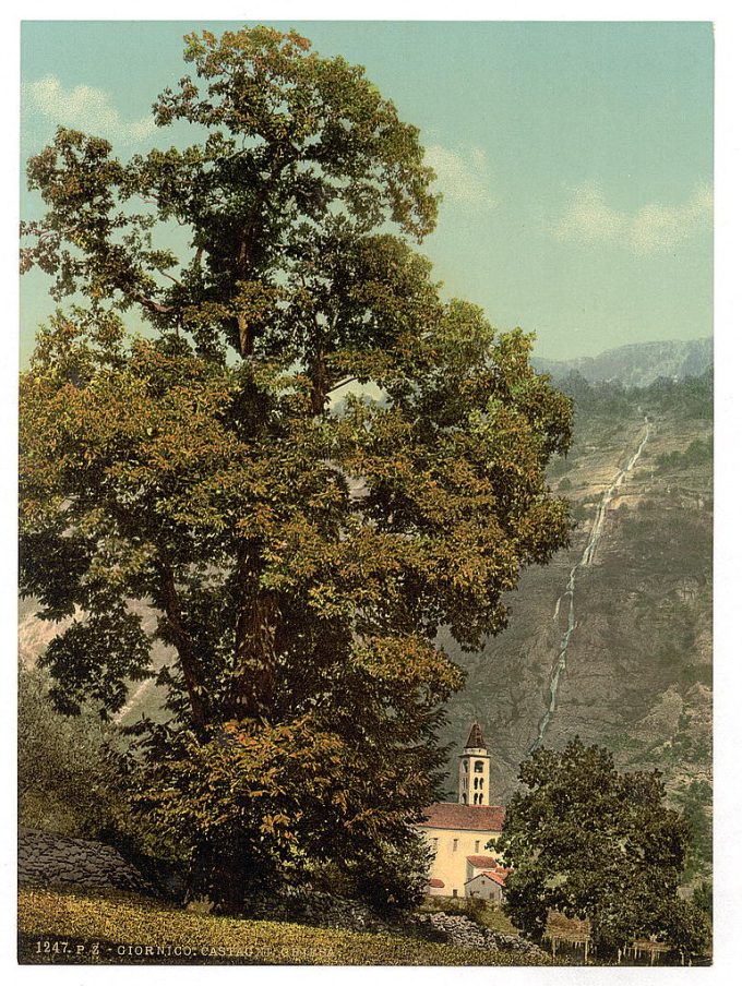 Giornico, church and waterfall, St. Gotthard Railway, Switzerland