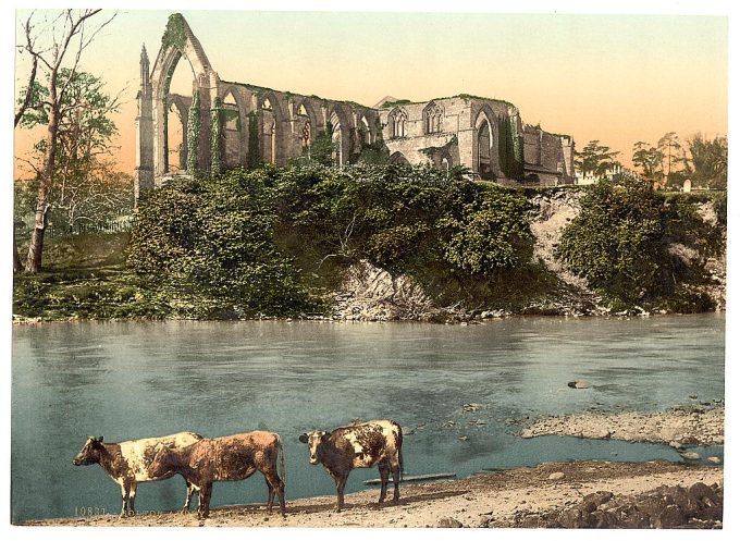 Abbey from the river, Bolton, England