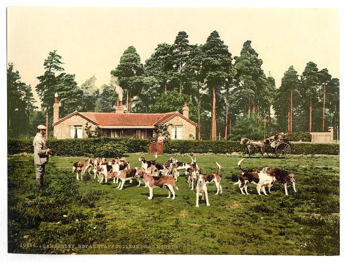 Royal Staff College, drag hounds, Camberley, England