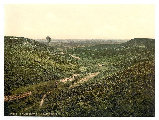 Chobham Ridges, Camberley, England