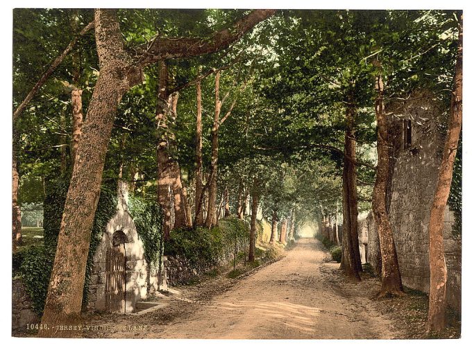 Jersey, Vinchelez Lane, Channel Islands, England