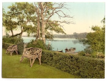 Fritton Decoy, Fritton, England