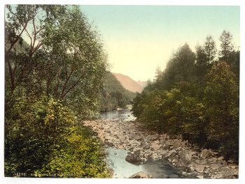Borrowdale Birches, I., Lake District, England