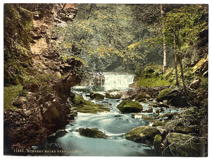 Nunnery Walks, near Lazonby, Lake District, England