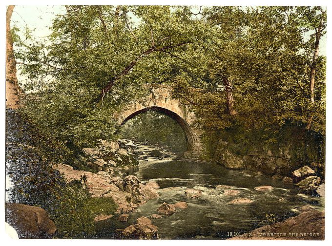 Ivybridge, the bridge, Plymouth, England