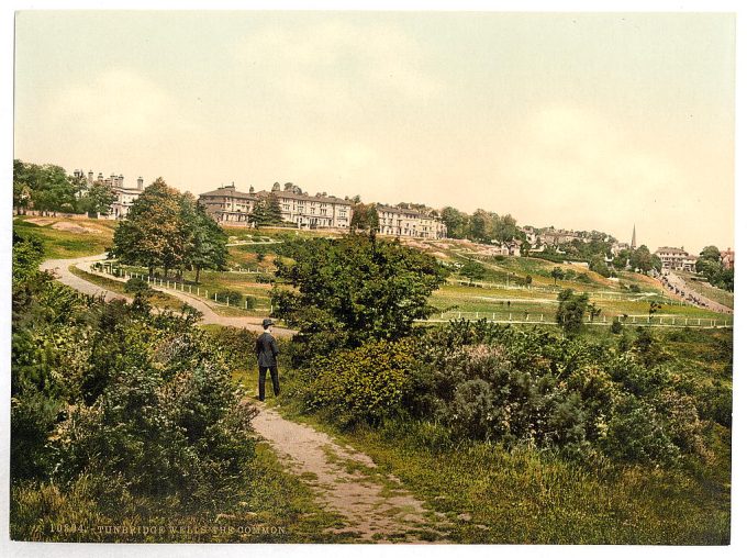 The common, Tunbridge Wells, England