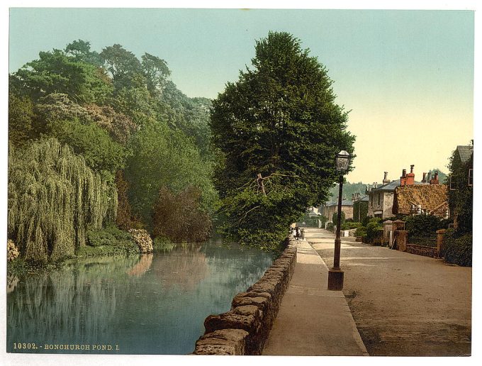 Bonchurch Pond, I., Isle of Wight, England