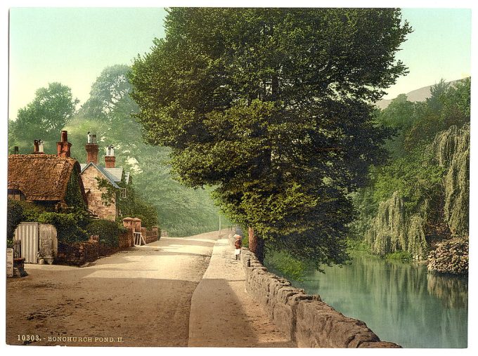 Bonchurch Pond, II., Isle of Wight, England