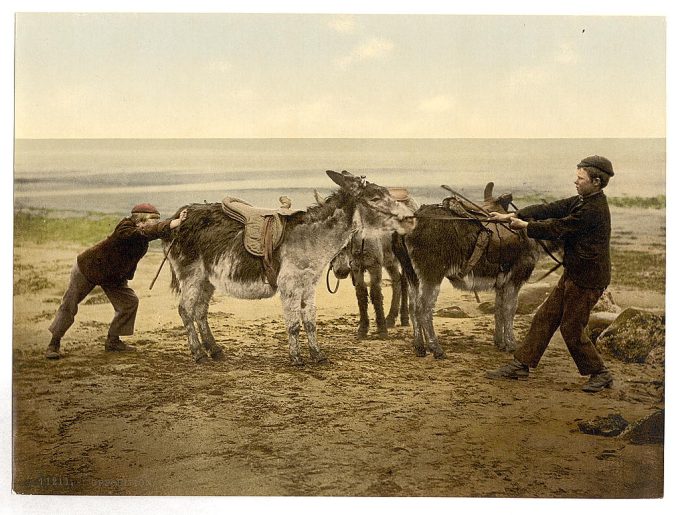 Opposition, England