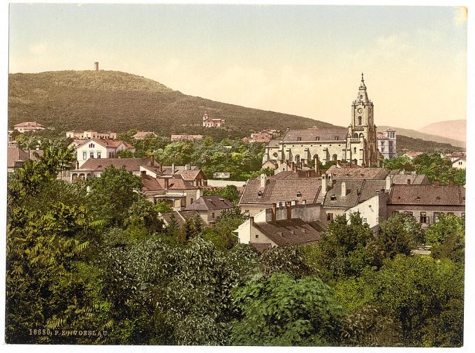 Voeslau (i.e., Vöslau), general view, Vienna, Austro-Hungary