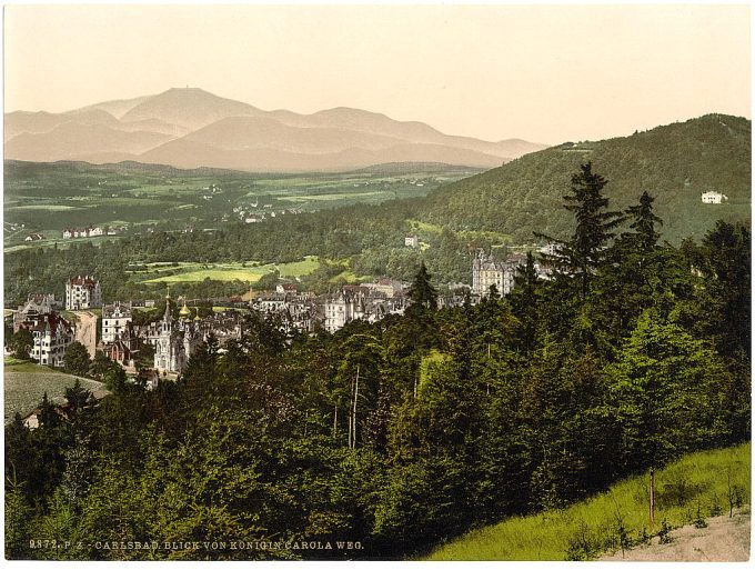 View of the Carola Road, Carsbad, Bohemia, Austro-Hungary