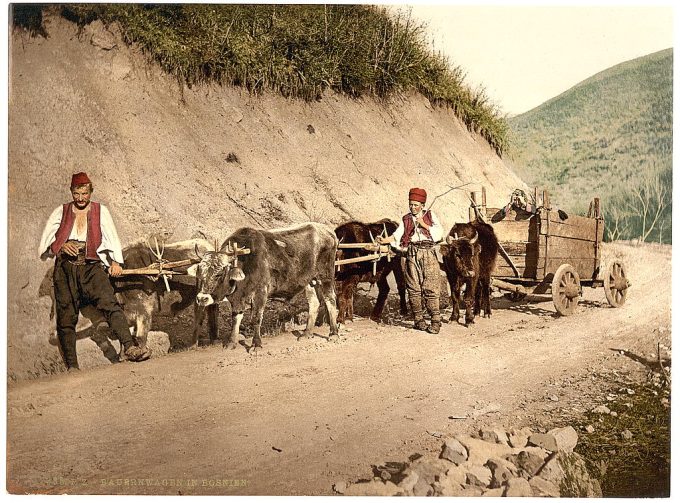 Peasant wagon, Bosnia, Austro-Hungary