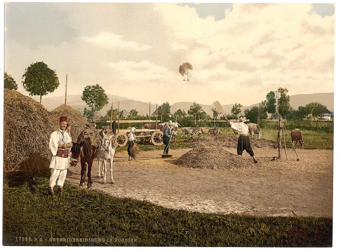 Farm scene, Bosnia, Austro-Hungary