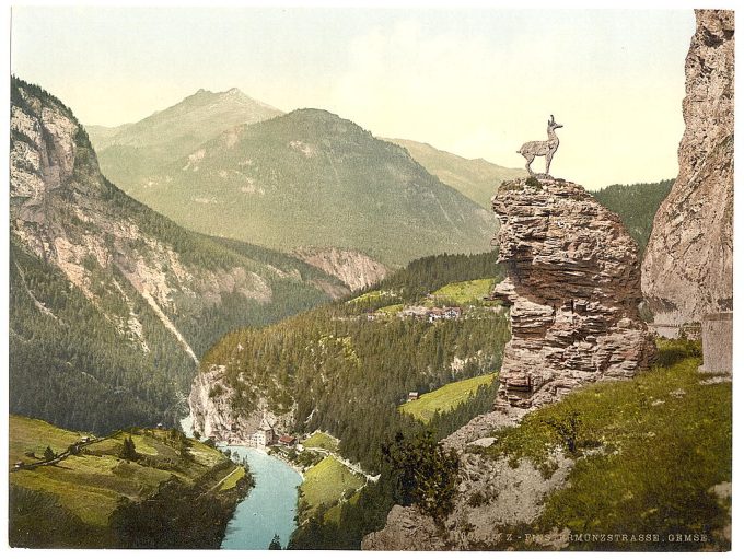 Finstermunz Road showing chamois, Tyrol, Austro-Hungary