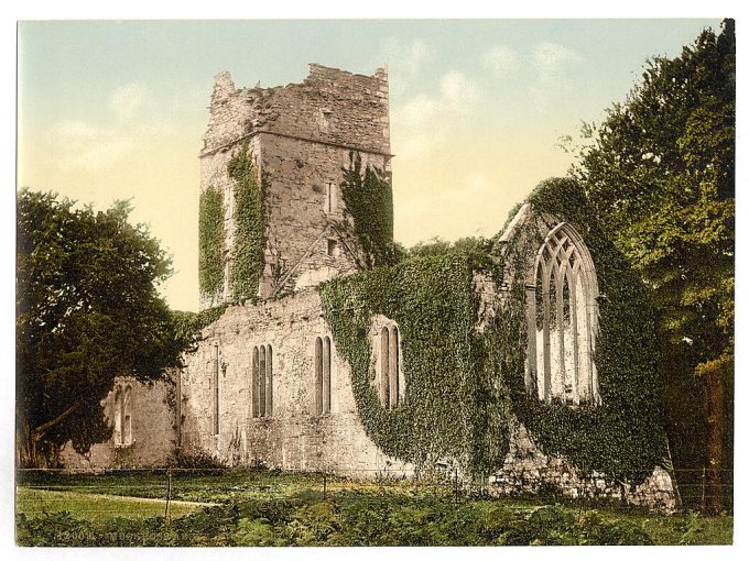 Muckross Abbey. Killarney. Co. Kerry, Ireland
