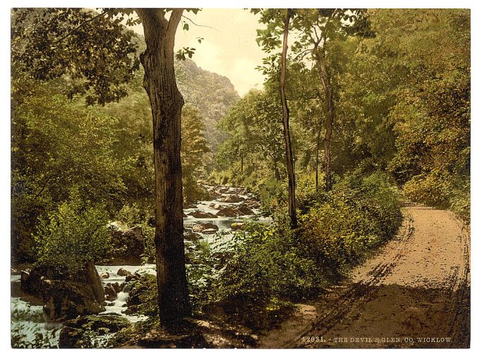 The Devil's Glen. Co. Wicklow, Ireland