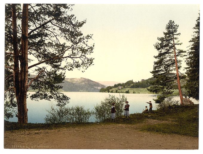 On the lake, Titisee, Black Forest, Baden, Germany