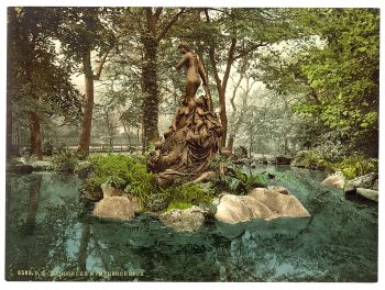 Group of Nymphs in Park Lake, Karlsruhe, Baden, Germany