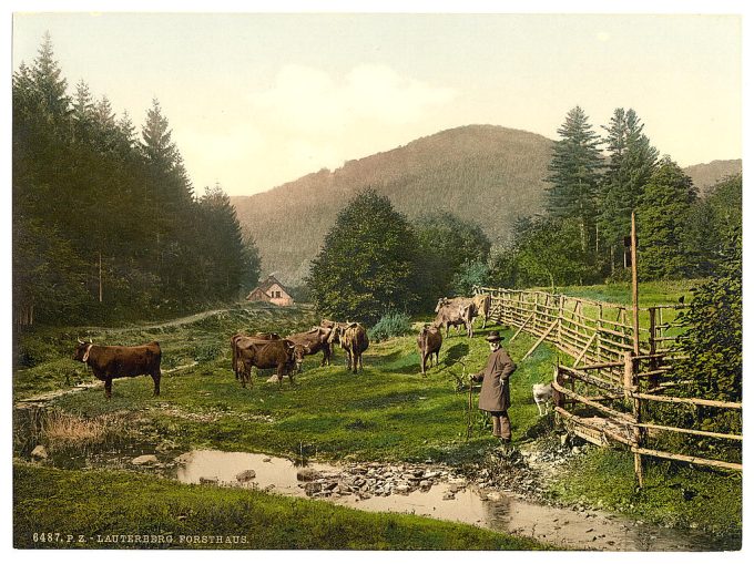 Forest House, Lauterberg (i.e. Bad Lauterberg im Harz), Hartz, Germany