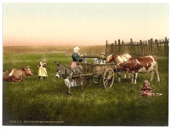 Milksellers, Cologne, the Rhine, Germany