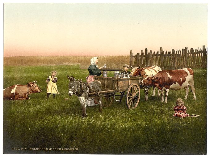 Milksellers, Cologne, the Rhine, Germany