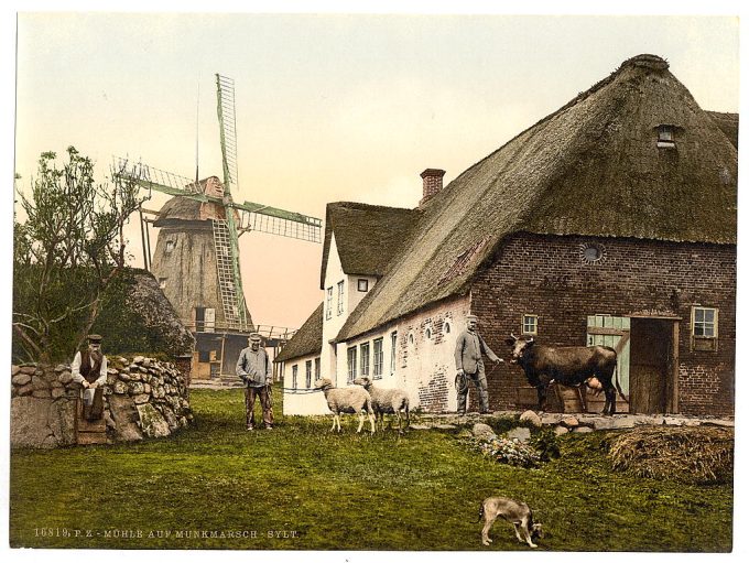 The mill at Munkmarsch, Sylt, Schleswig-Holstein, Germany