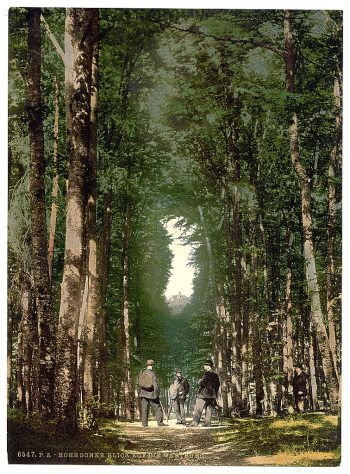 Hohesonne and view of the Wartburg, Wartburg, Thuringia, Germany