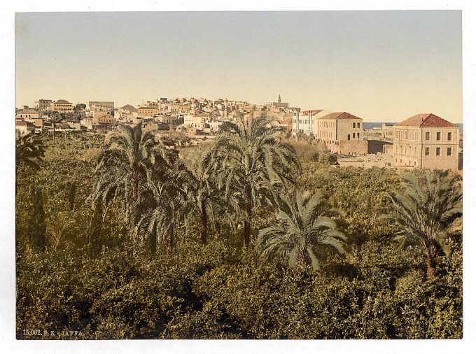From the garden, Jaffa, Holy Land, (i.e. Israel)
