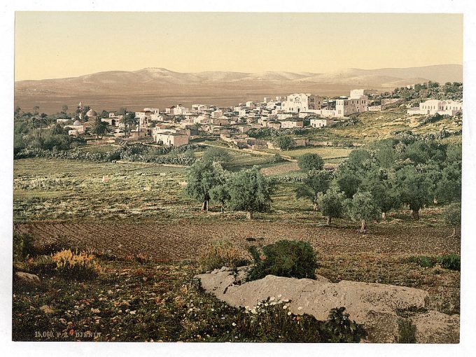 General view, Jenin, Holy Land, (i.e., West Bank)
