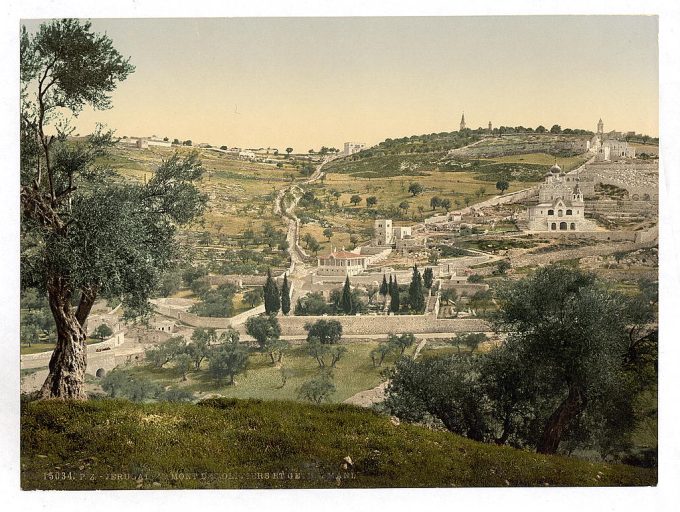 Mount of Olives and Gethsemane, general view, Jerusalem