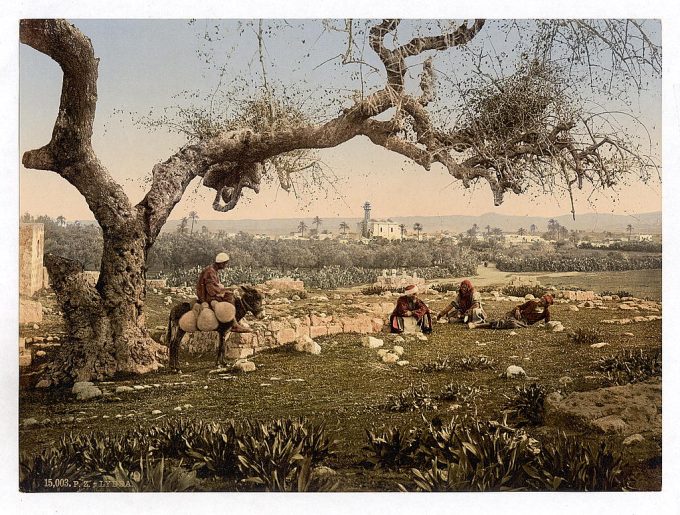 View from Southwest, Lydda, Holy Land, (i.e. Israel)