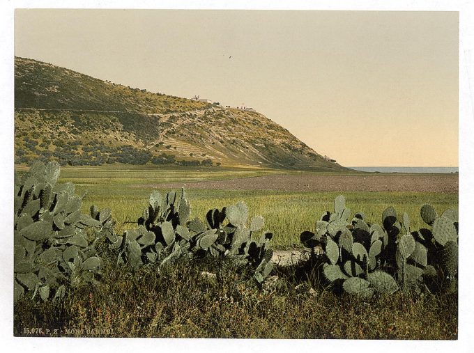 General view, Mount Carmel, Holy Land, (i.e. Israel)
