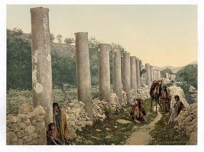 The colonnade, Samaria, Holy Land